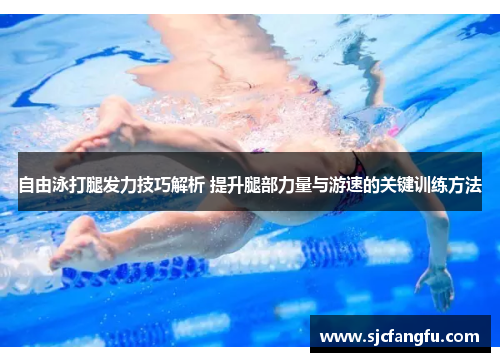 自由泳打腿发力技巧解析 提升腿部力量与游速的关键训练方法
